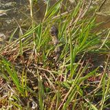 팜모닝 자유주제·자유게시판 게시글 이미지