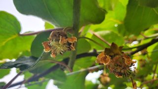 국중선님의 자유주제 · 자유게시판 작성글 사진