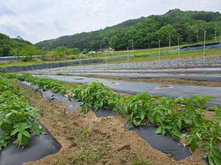 희상님의 자유주제 · 자유게시판 작성글 사진