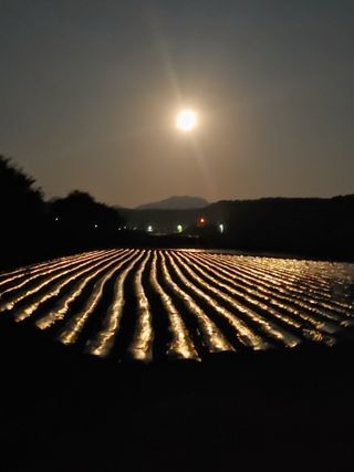 복숭아10183님의 자유주제 · 사진전 작성글 사진