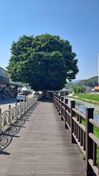 MSG0074님의 자유주제 · 자유게시판 작성글 사진