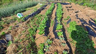 MSG0074님의 자유주제 · 자유게시판 작성글 사진