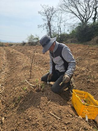 새싹농원님의 자유주제 · 자유게시판 작성글 사진