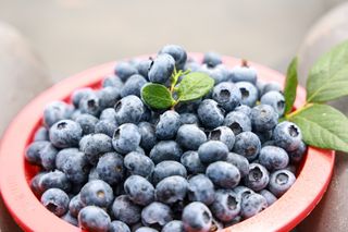 마음길베리님의 작성글 사진