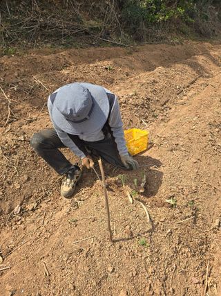 새싹농원님의 자유주제 · 자유게시판 작성글 사진