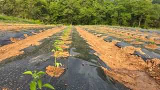 이종열님의 자유주제 · 자유게시판 작성글 사진