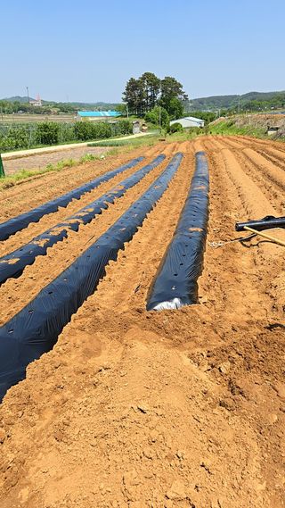 이우섭님의 자유주제 · 자유게시판 작성글 사진