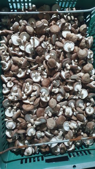 장계령님의 자유주제 · 자유게시판 작성글 사진