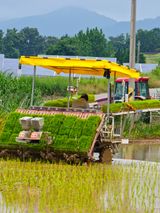 팜모닝 자유주제·자유게시판 게시글 이미지