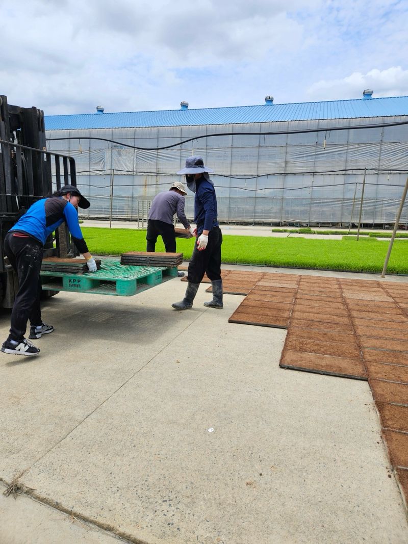 이설희순님의 장터 판매 상품 [2025년신동진쌀10kg] 첨부 사진