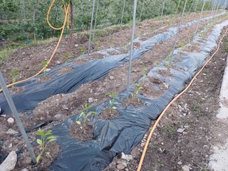 알 수 없음님의 자유주제 · 자유게시판 작성글 사진