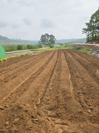 이우섭님의 자유주제 · 자유게시판 작성글 사진