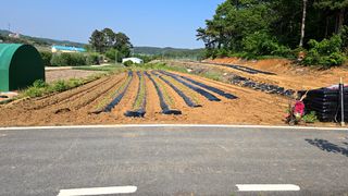 이우섭님의 자유주제 · 자유게시판 작성글 사진