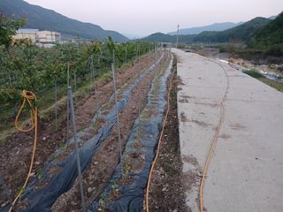 알 수 없음님의 자유주제 · 자유게시판 작성글 사진