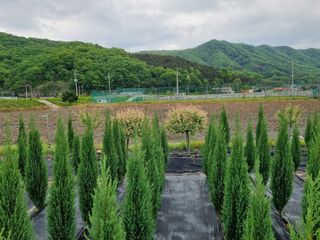 연산나무농장님의 자유주제 · 자유게시판 작성글 사진