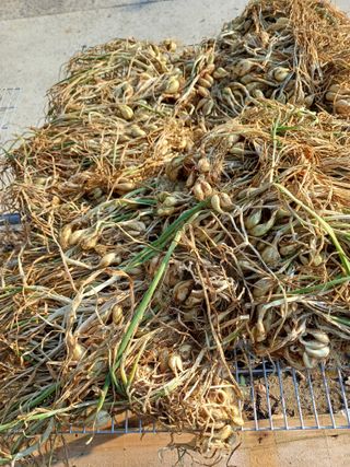 유영옥님의 자유주제 · 자유게시판 작성글 사진