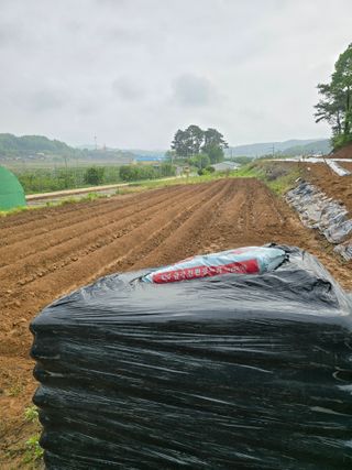 이우섭님의 자유주제 · 자유게시판 작성글 사진