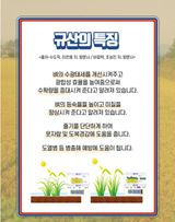 대산농사대장님의 벼·자유게시판 작성글 사진