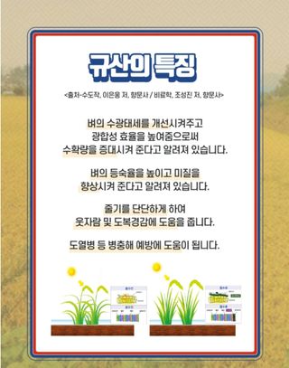 대산농사대장님의 벼 · 자유게시판 작성글 사진