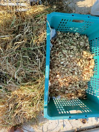 유영옥님의 자유주제 · 자유게시판 작성글 사진