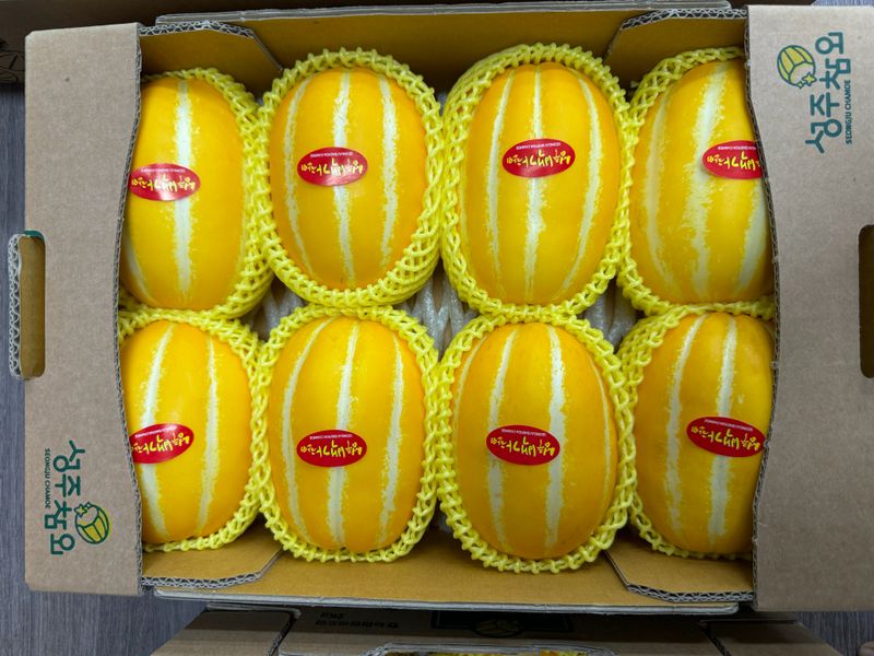 백만흠님의 장터 판매 상품 [성주백가참외 3kg 가정용] 첨부 사진