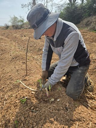 새싹농원님의 자유주제 · 자유게시판 작성글 사진