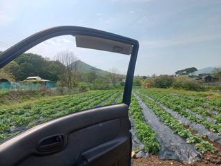 이정민님의 자유주제 · 사진전 작성글 사진