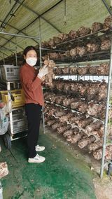 팜모닝 자유주제·자유게시판 게시글 이미지