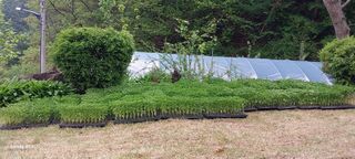 이일철 (조이산골)님의 자유주제 · 자유게시판 작성글 사진