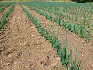 김성식님의 자유주제 · 자유게시판 작성글 사진