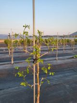 팜모닝 자유주제·자유게시판 게시글 이미지