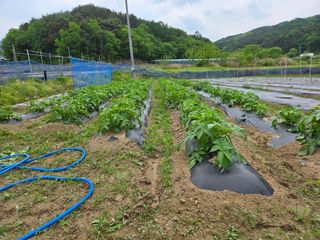 희상님의 자유주제 · 자유게시판 작성글 사진