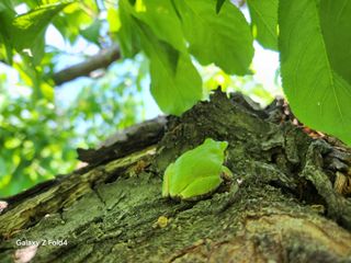 헤라여신^^♡님의 농사, 무엇이든 물어보세요! · 참여글 작성글 사진