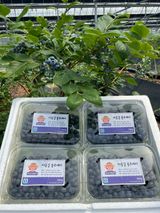 팜모닝 · 게시글 이미지