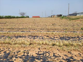주인성님의 자유주제 · 자유게시판 작성글 사진