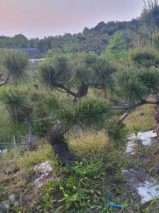알 수 없음님의 자유주제 · 사진전 작성글 사진