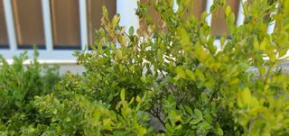 홍정기 님의 자유주제 · 자유게시판 작성글 사진