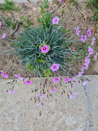 신인농원님의 자유주제 · 자유게시판 작성글 사진