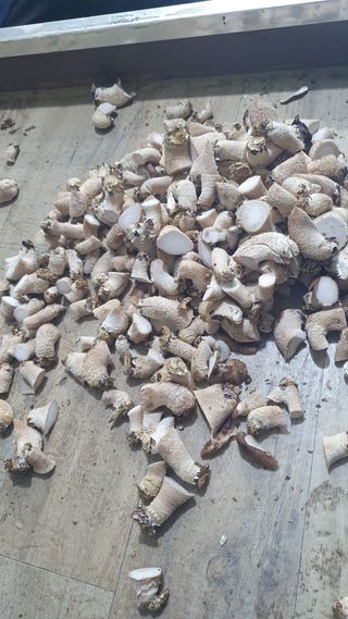 장계령님의 자유주제 · 자유게시판 작성글 사진