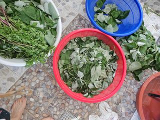 유명숙님의 자유주제 · 자유게시판 작성글 사진