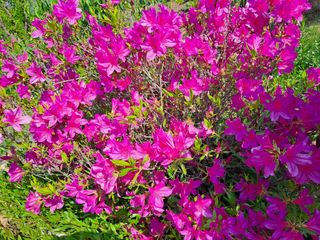 허선경님의 자유주제 · 자유게시판 작성글 사진