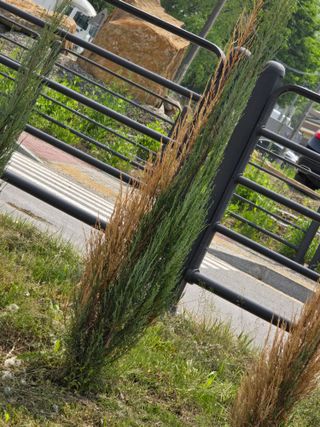 병행농부님의 농사, 무엇이든 물어보세요! · 참여글 작성글 사진