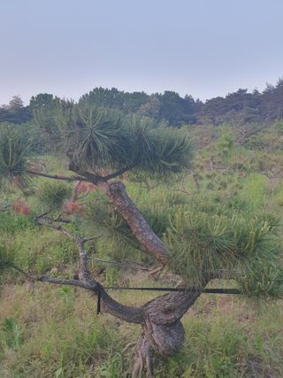 알 수 없음님의 자유주제 · 사진전 작성글 사진