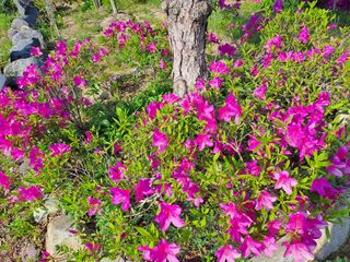 허선경님의 자유주제 · 자유게시판 작성글 사진