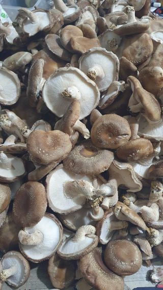 장계령님의 자유주제 · 자유게시판 작성글 사진