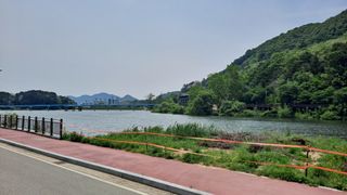 MSG0074님의 자유주제 · 자유게시판 작성글 사진