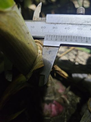 배필이님의 자유주제 · 자유게시판 작성글 사진