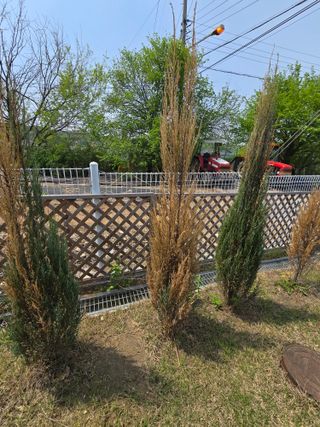 병행농부님의 농사, 무엇이든 물어보세요! · 참여글 작성글 사진