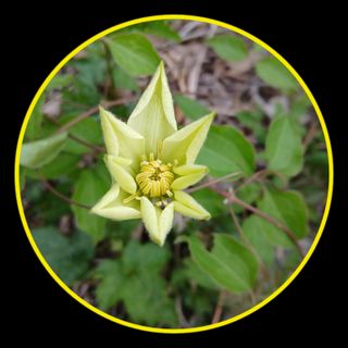 인생은 소풍처럼님의 자유주제 · 자유게시판 작성글 사진