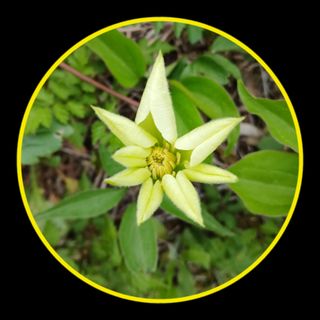 인생은 소풍처럼님의 자유주제 · 자유게시판 작성글 사진